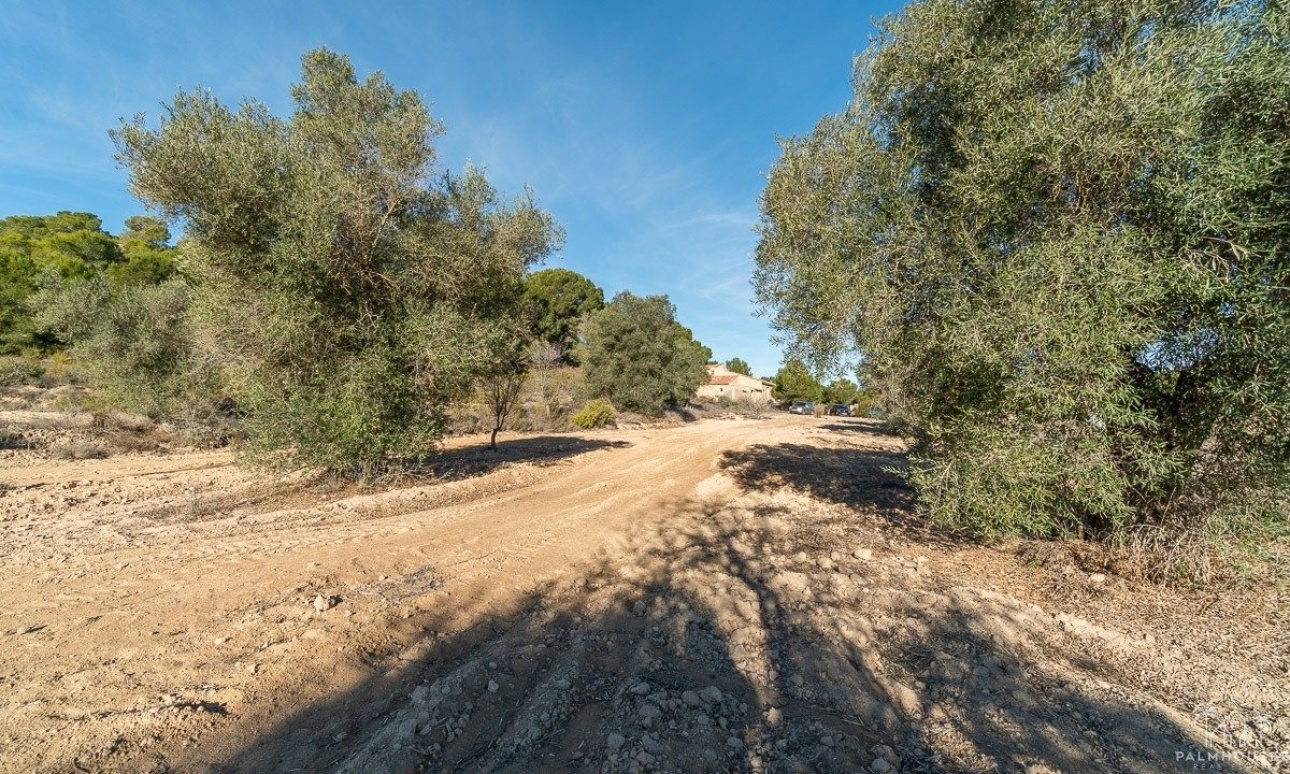 Venta - Finca - Pilar de La Horadada - Pinar de la Perdiz