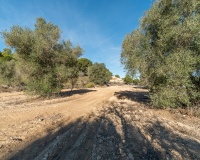 Venta - Finca - Pilar de La Horadada - Pinar de la Perdiz