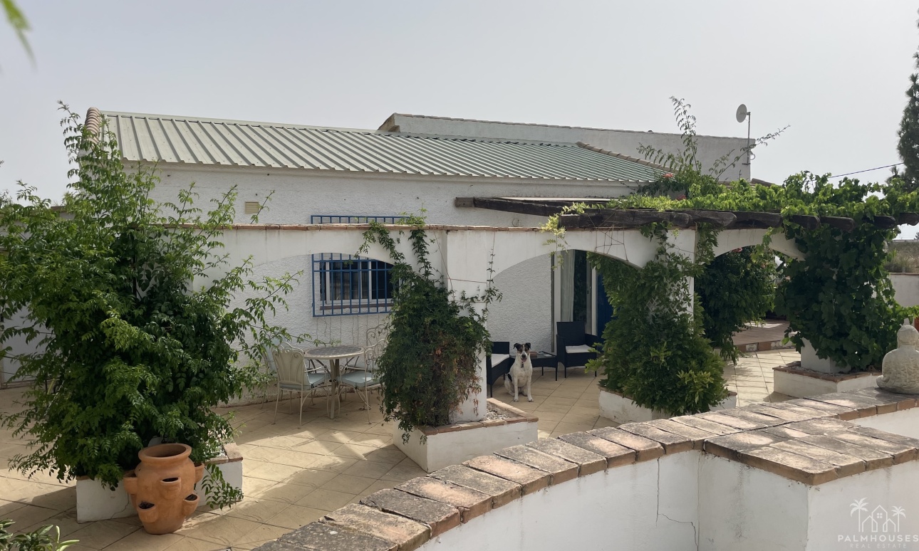 Venta - Finca - Totana - Costa Calida