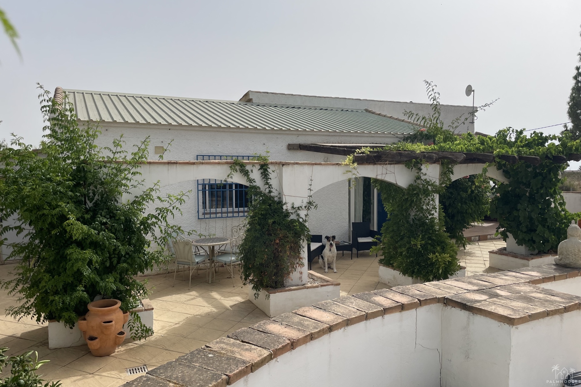 Venta - Finca - Totana - Costa Calida