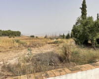 Venta - Finca - Totana - Costa Calida