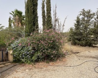 Venta - Finca - Totana - Costa Calida
