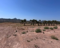 Venta - Plot - Abanilla - Macisvenda