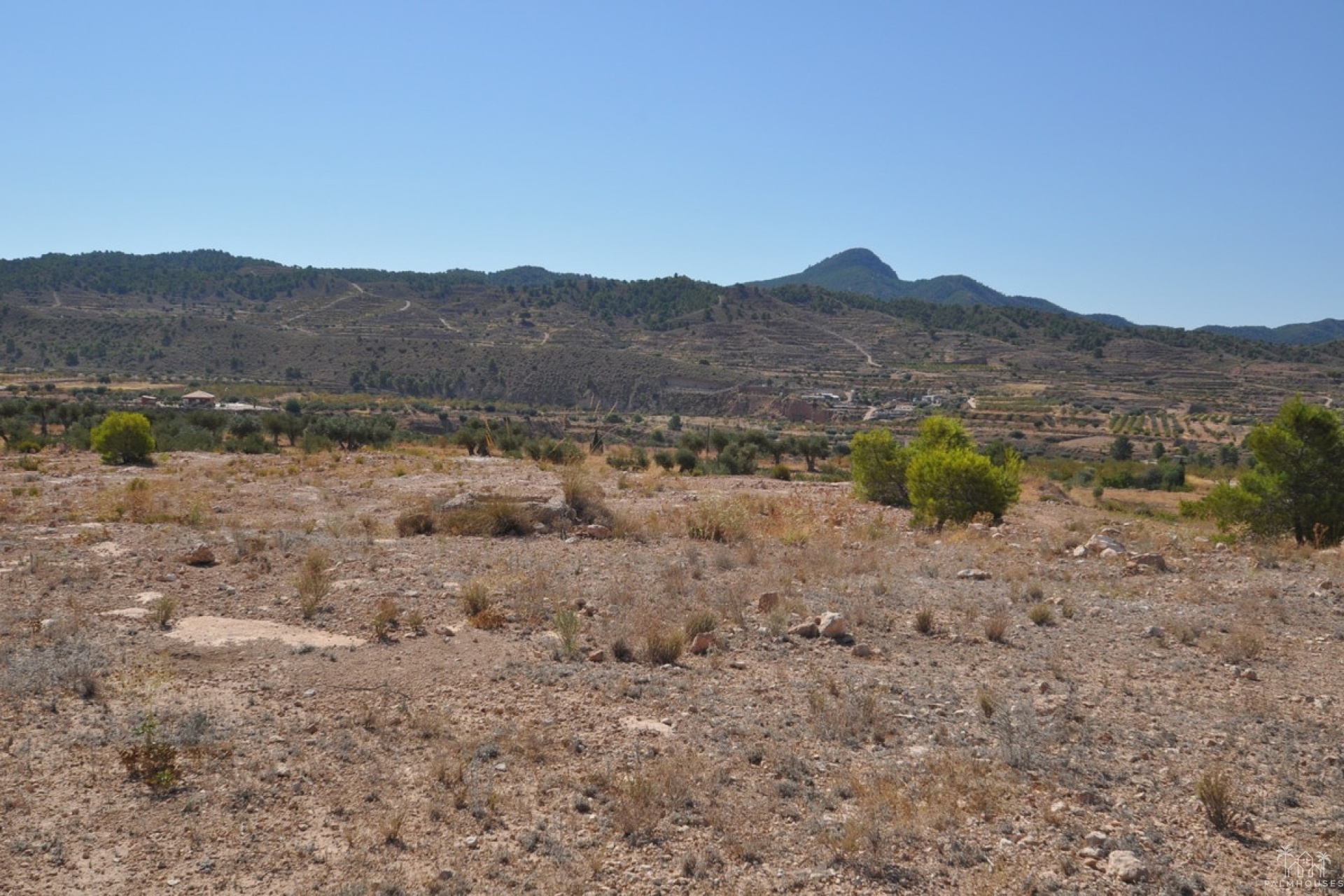 Venta - Plot - Abanilla - Macisvenda