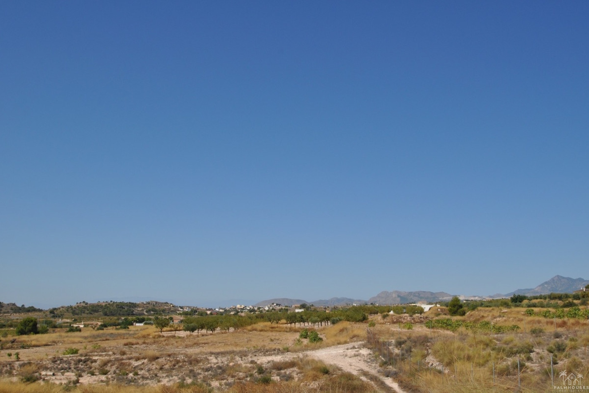 Venta - Plot - Abanilla - Macisvenda