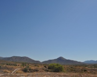 Venta - Plot - Abanilla - Macisvenda