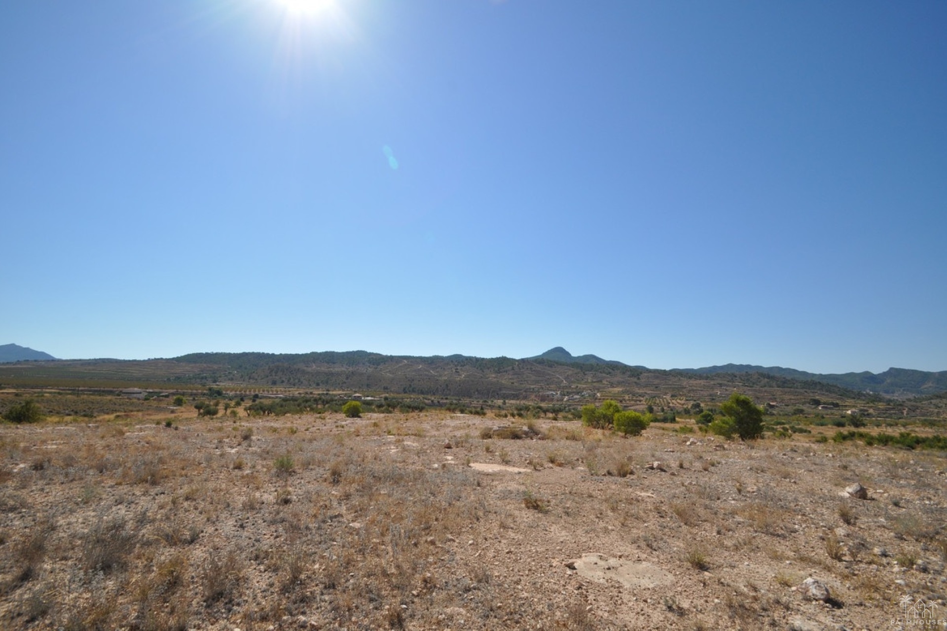 Venta - Plot - Abanilla - Macisvenda