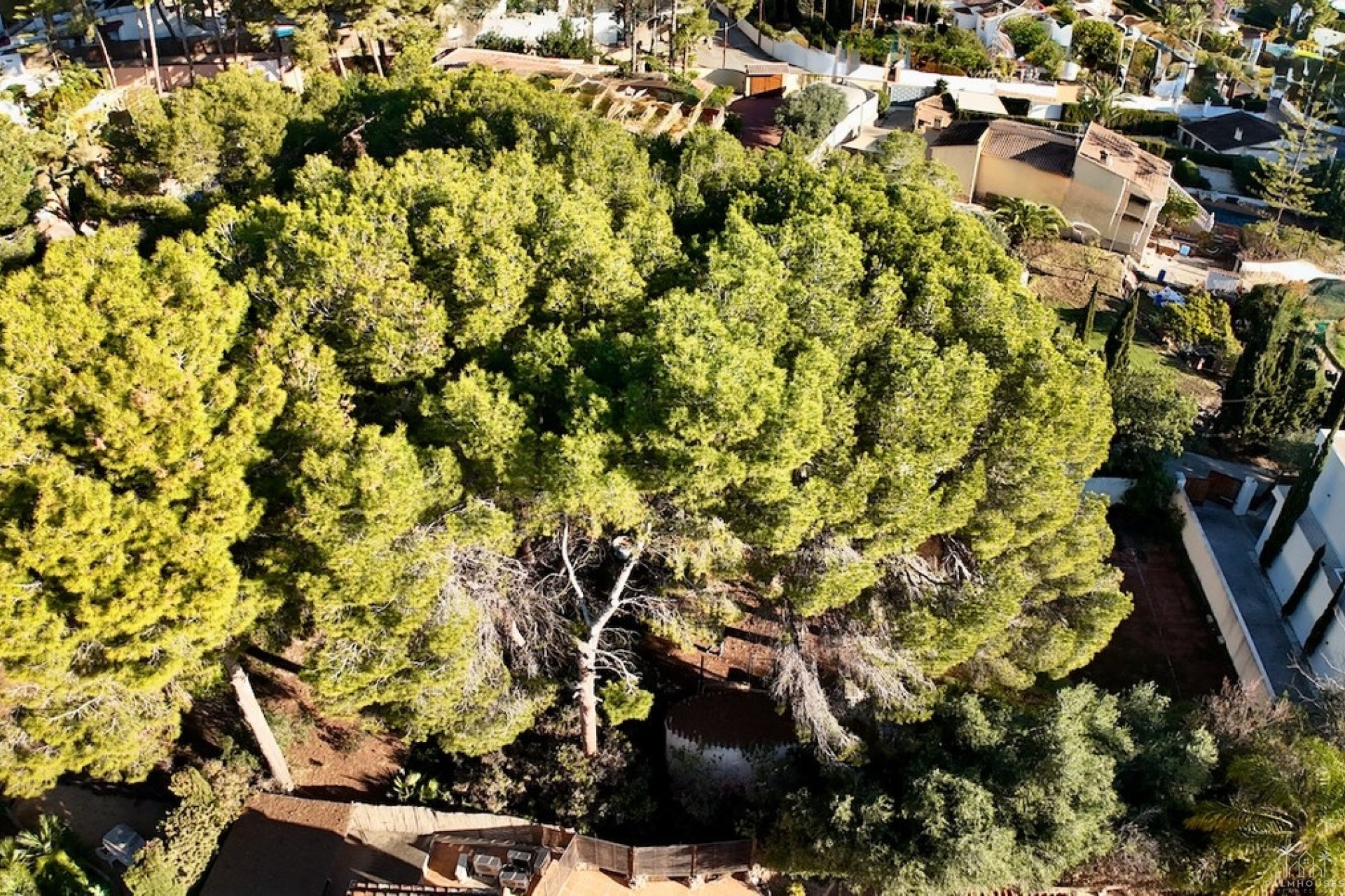 Venta - Plot - Benissa - La Cometa