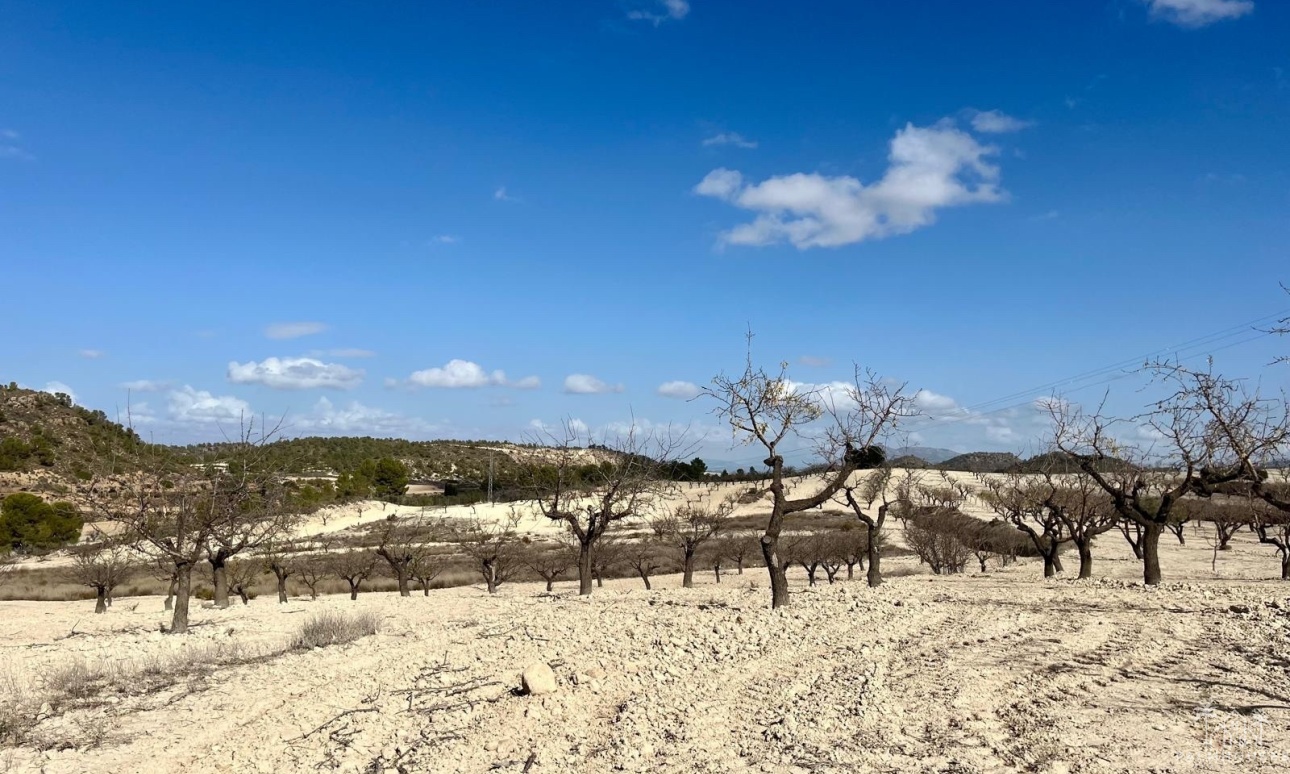 Venta - Plot - Bullas - Costa Calida