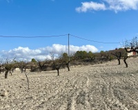 Venta - Plot - Bullas - Costa Calida