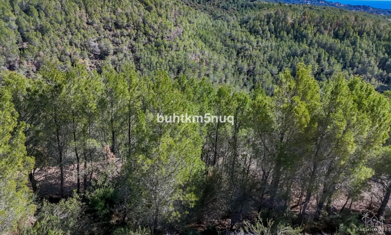 Venta - Plot - Callosa d'en Sarria - Callosa d'en Sarria Centro