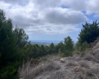 Venta - Plot - Callosa d'en Sarria - Callosa d'en Sarria Centro