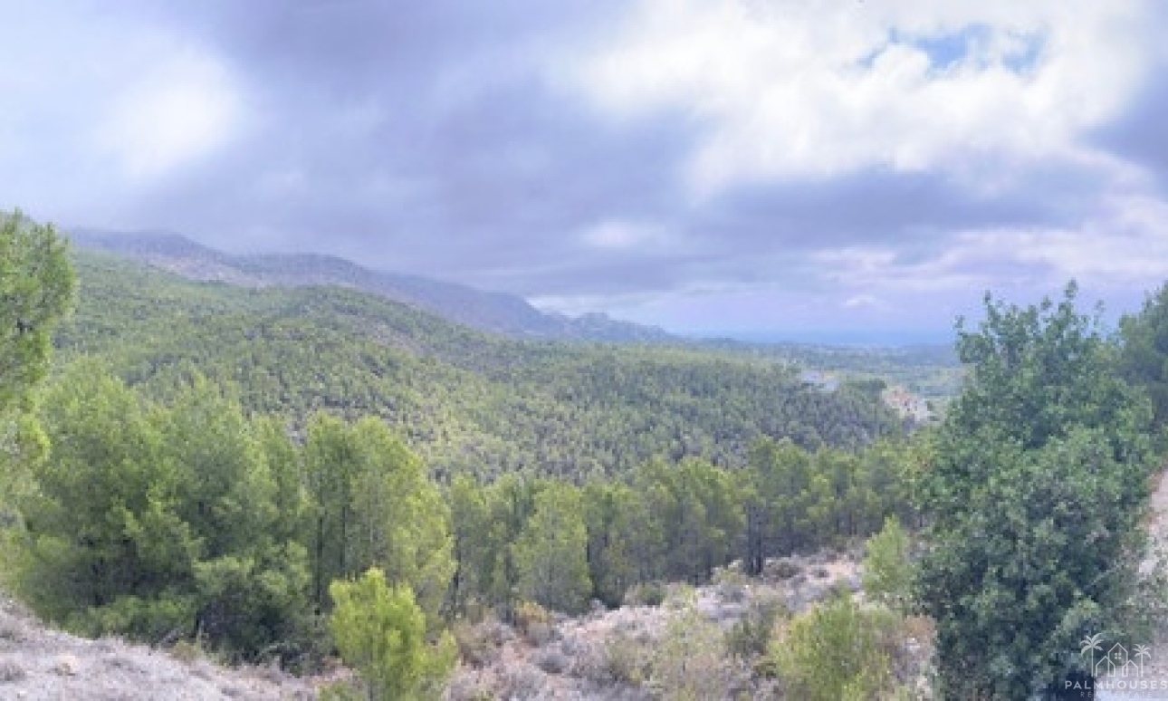 Venta - Plot - Callosa d'en Sarria - Callosa d'en Sarria Centro