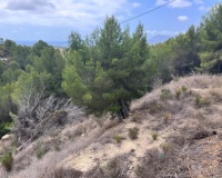 Venta - Plot - Callosa d'en Sarria - Callosa d'en Sarria Centro