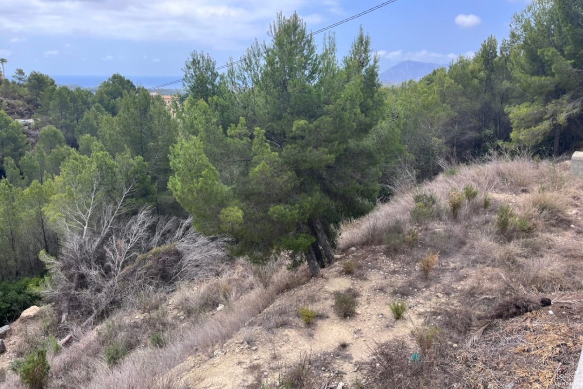 Venta - Plot - Callosa d'en Sarria - Callosa d'en Sarria Centro