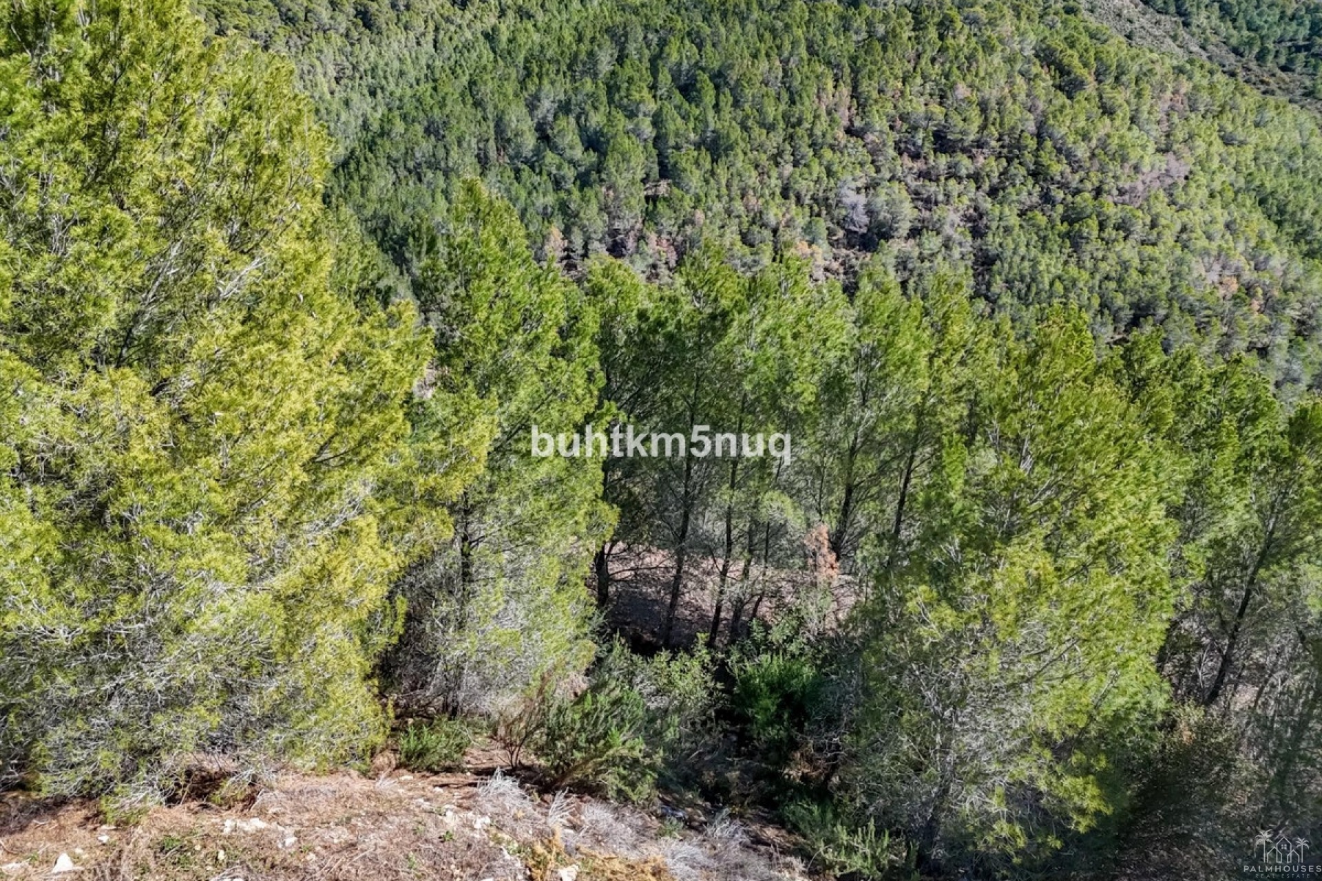 Venta - Plot - Callosa d'en Sarria - Callosa d'en Sarria Centro