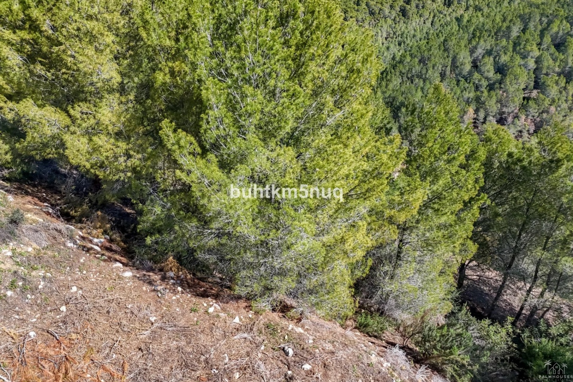 Venta - Plot - Callosa d'en Sarria - Callosa d'en Sarria Centro