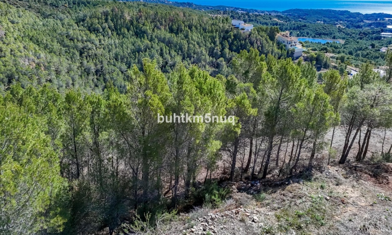 Venta - Plot - Callosa d'en Sarria - Callosa d'en Sarria Centro