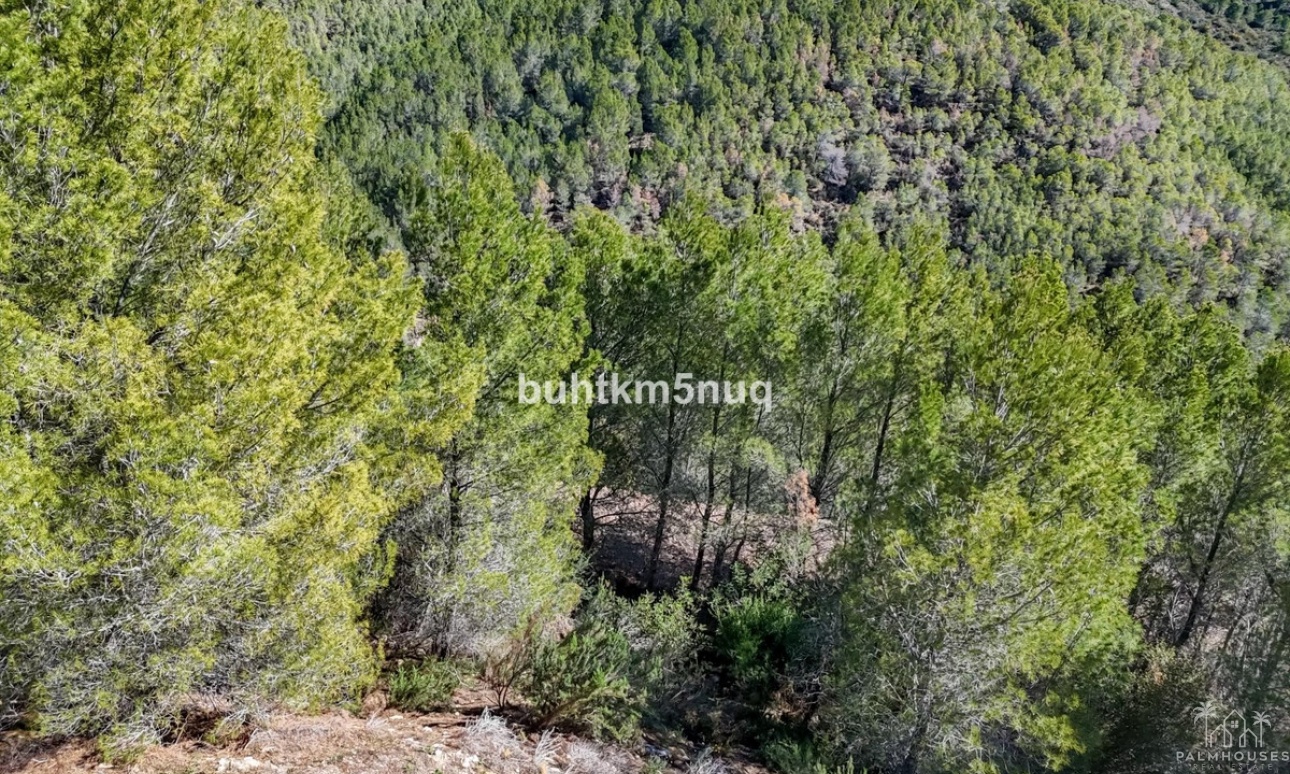 Venta - Plot - Callosa d'en Sarria - Callosa d'en Sarria Centro