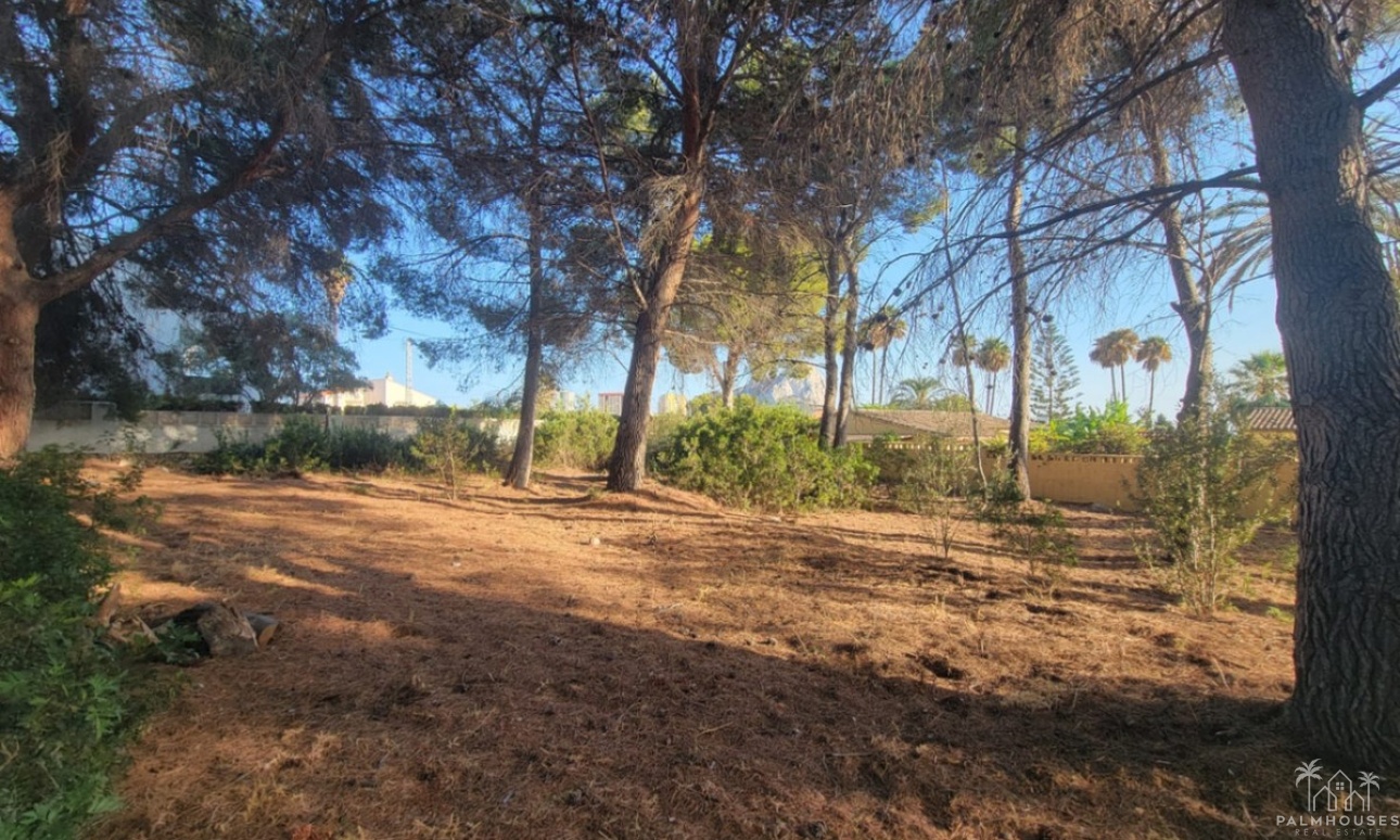 Venta - Plot - Calpe - Calpe Centro