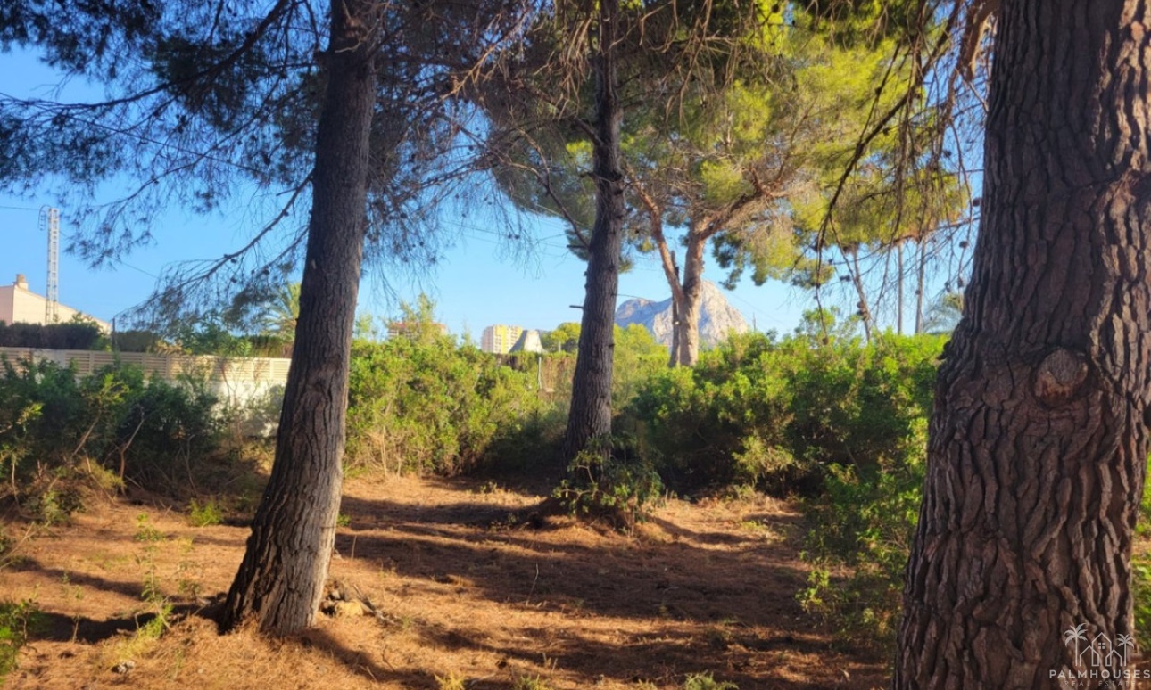 Venta - Plot - Calpe - Calpe Centro