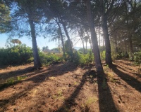 Venta - Plot - Calpe - Calpe Centro