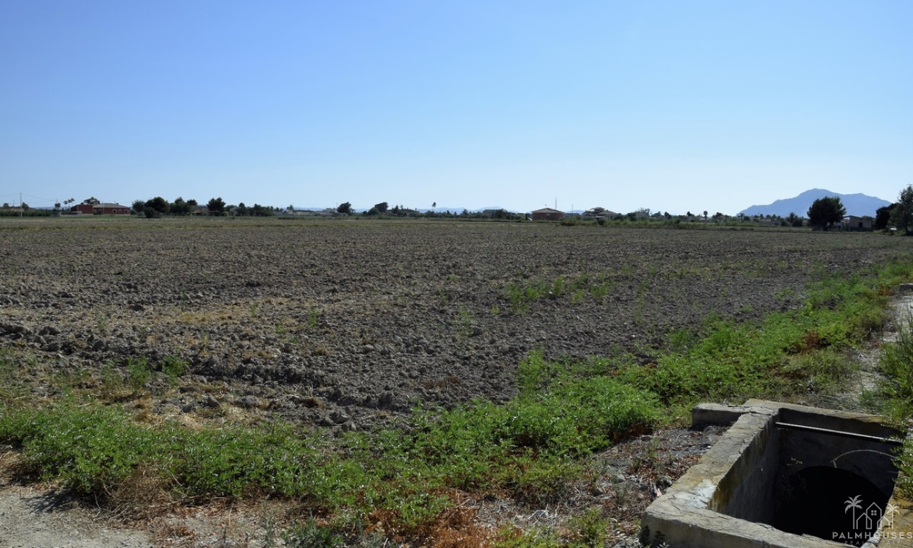 Venta - Plot - Catral - Catral Centro