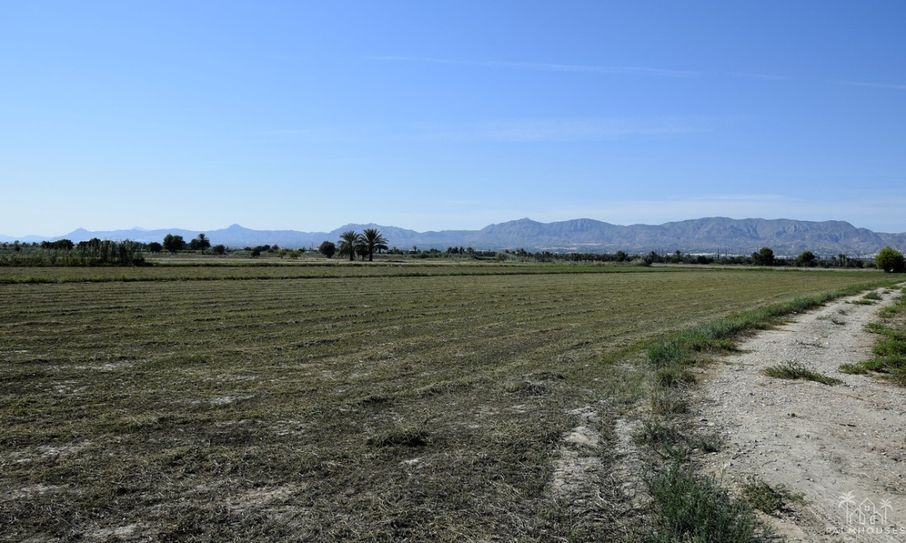 Venta - Plot - Catral - Catral Centro