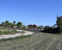 Venta - Plot - Catral - Catral Centro