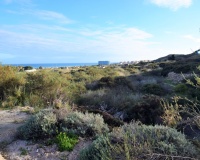 Venta - Plot - Guardamar del Segura - Guardamar del Segura Centro