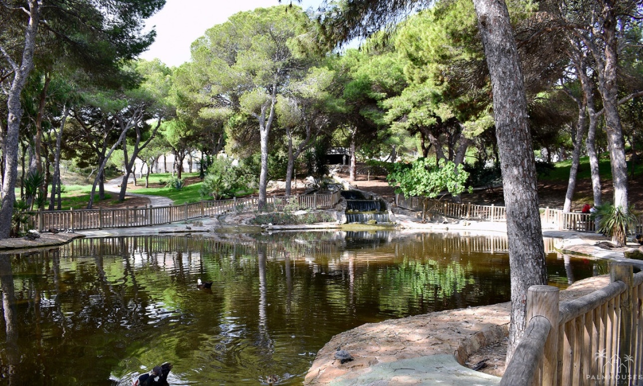 Venta - Plot - Guardamar del Segura - Guardamar del Segura Centro