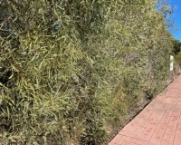 Venta - Plot - Jávea - Xàbia - Jávea - Xàbia Centro