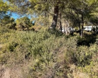 Venta - Plot - Jávea - Xàbia - Jávea - Xàbia Centro