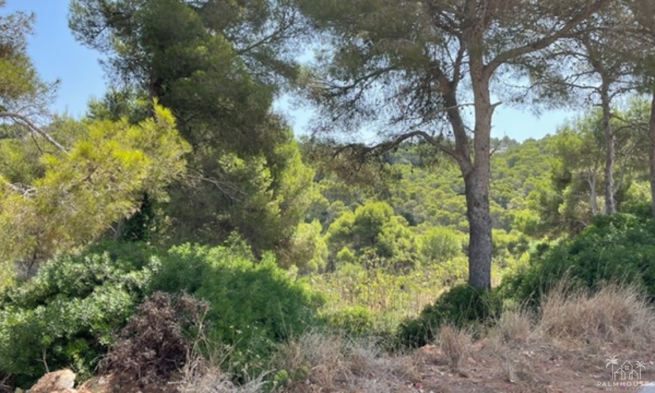 Venta - Plot - Jávea - Xàbia - Jávea - Xàbia Centro
