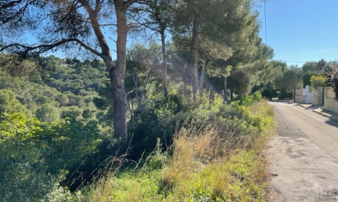 Venta - Plot - Jávea - Xàbia - Jávea - Xàbia Centro