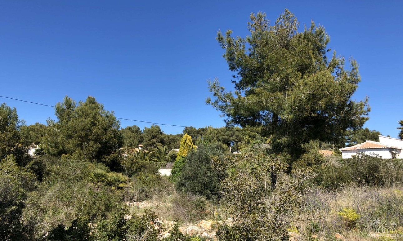 Venta - Plot - Jávea - Xàbia - Jávea - Xàbia Centro