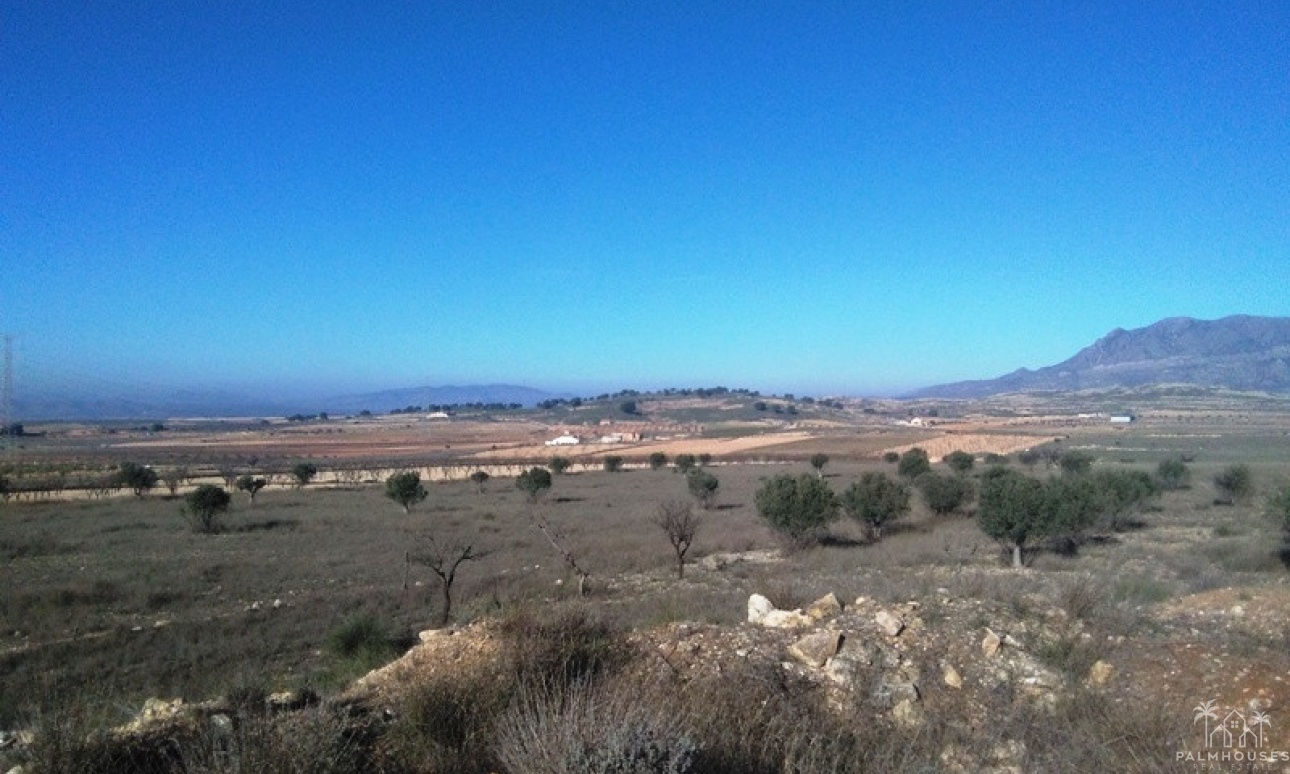 Venta - Plot - Jumilla - Torre Del Rico