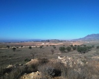 Venta - Plot - Jumilla - Torre Del Rico