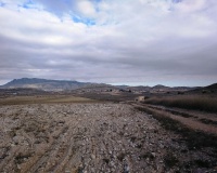 Venta - Plot - Jumilla - Torre Del Rico