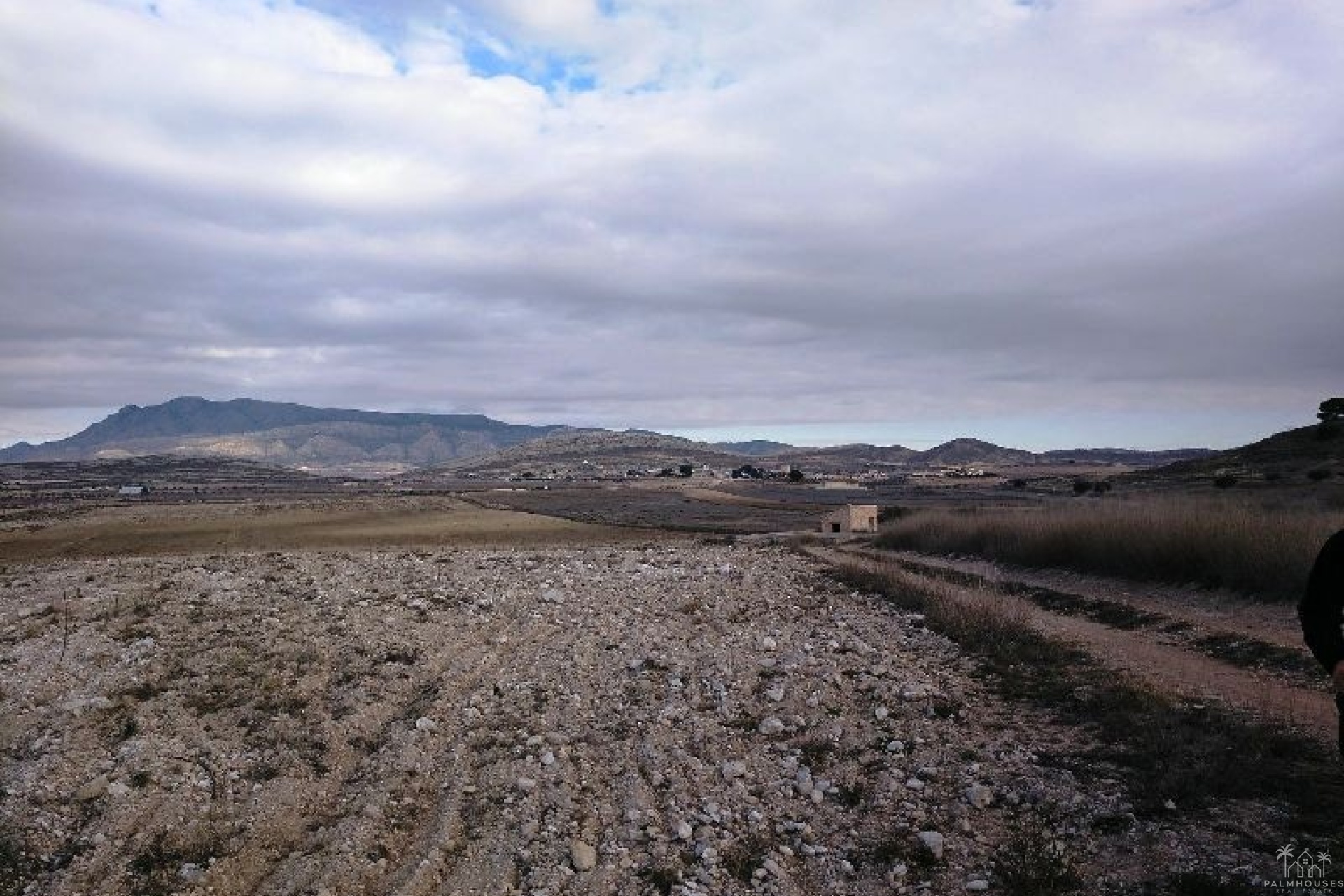 Venta - Plot - Jumilla - Torre Del Rico