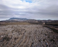 Venta - Plot - Jumilla - Torre Del Rico