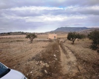 Venta - Plot - Jumilla - Torre Del Rico