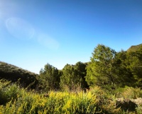 Venta - Plot - Lorca - Lorca Centro
