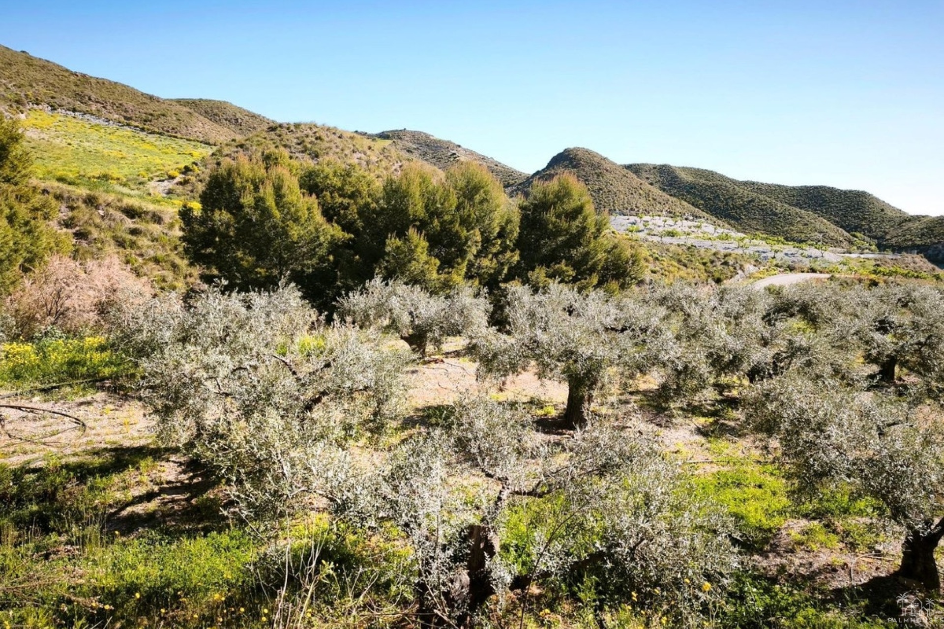 Venta - Plot - Lorca - Lorca Centro