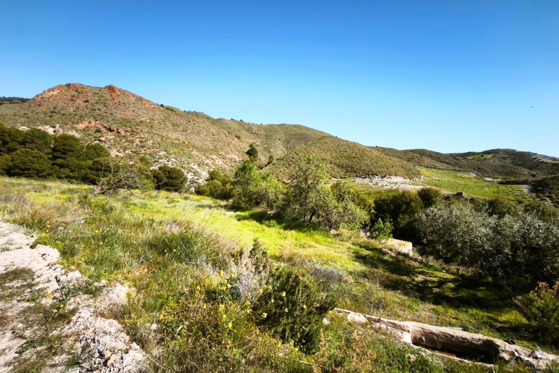 Venta - Plot - Lorca - Lorca Centro