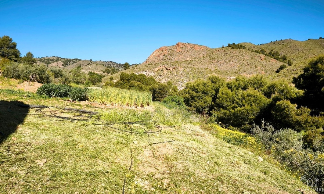 Venta - Plot - Lorca - Lorca Centro