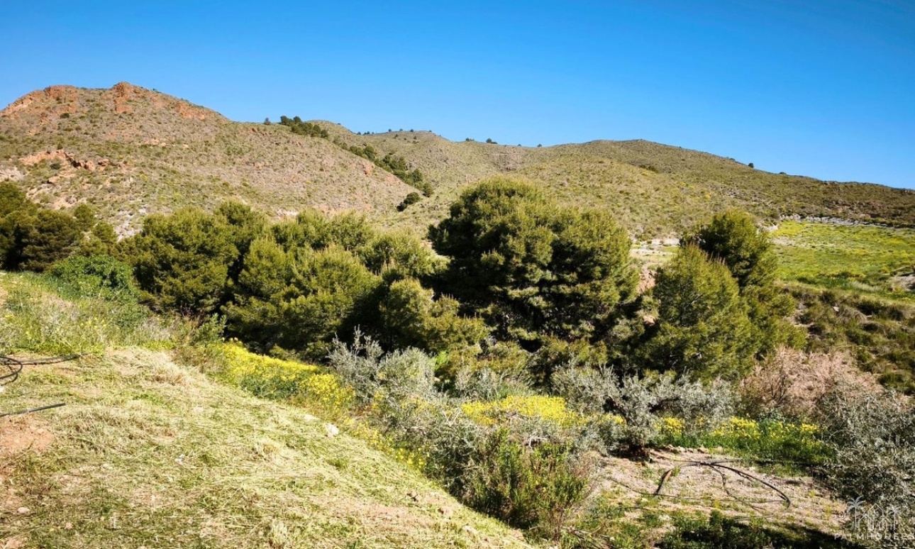 Venta - Plot - Lorca - Lorca Centro