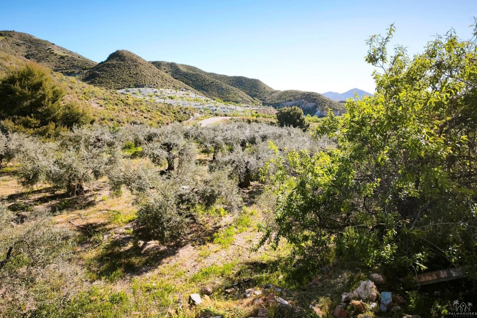 Venta - Plot - Lorca - Lorca Centro