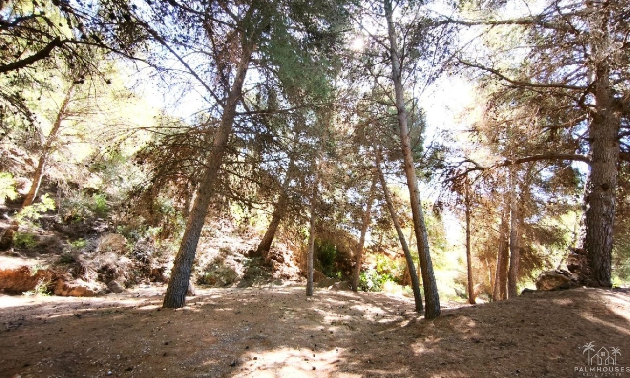 Venta - Plot - Lorca - Lorca Centro