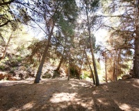 Venta - Plot - Lorca - Lorca Centro